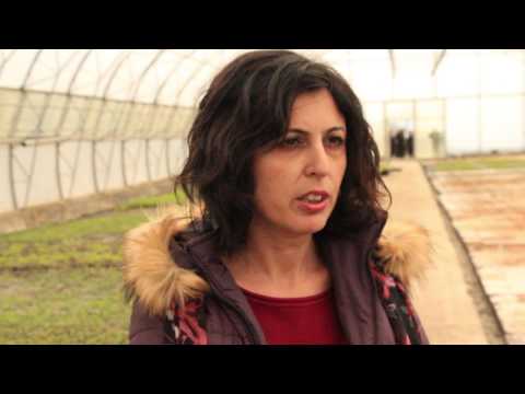 აგროსატყეო მიმართულებით თურქეთთან თანამშრომლობა ღრმავდება