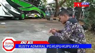 Bus pariwisata kupu kupu ayu rusty admiral