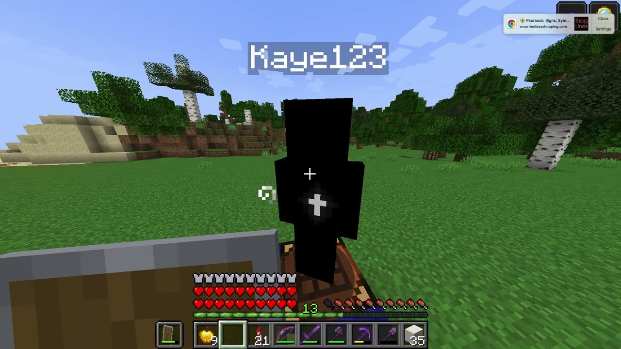 my lifesteal smp ip in desciption