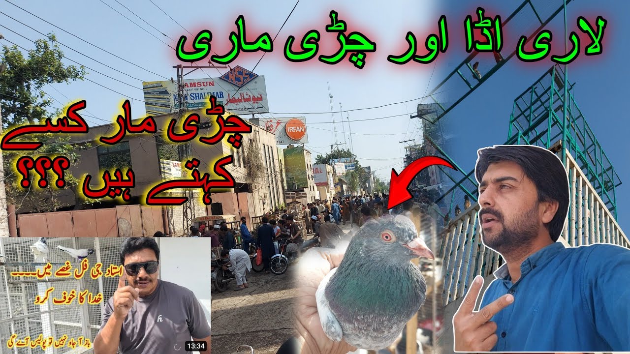 Larri Adda Larri adda market sa kabotar purchase kia #skypigeons - YouTube