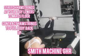 Smith Machine Hamstring Destroyer