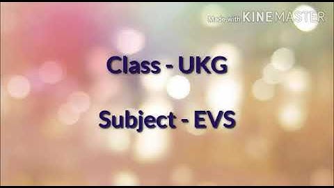 Ukg EVS Ch-13 Plants Around Us