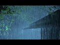 Best Rain Sounds for Sleep | Pouring rain & Heavy Thunder on Forest House at Night | White Noise 10h