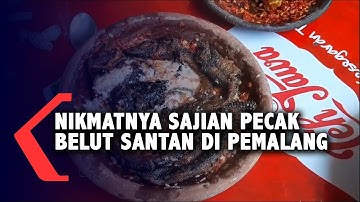 Nikmatnya Sajian Pecak Belut Santan di Pemalang