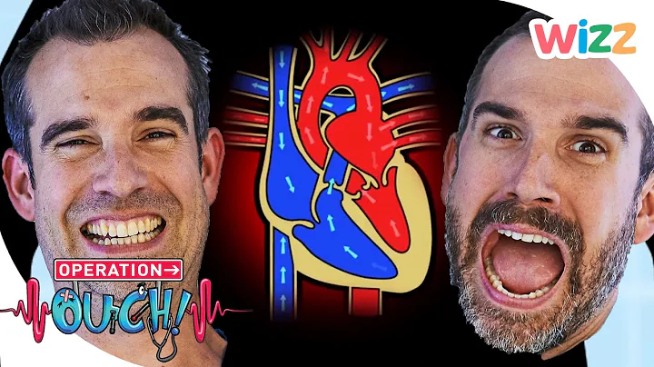 @OperationOuch  - All About the Heart! ❤️ | #ValentinesDay | Science for Kids | Wizz