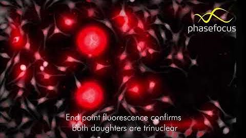 Petes secret life of cells video using Livecyte