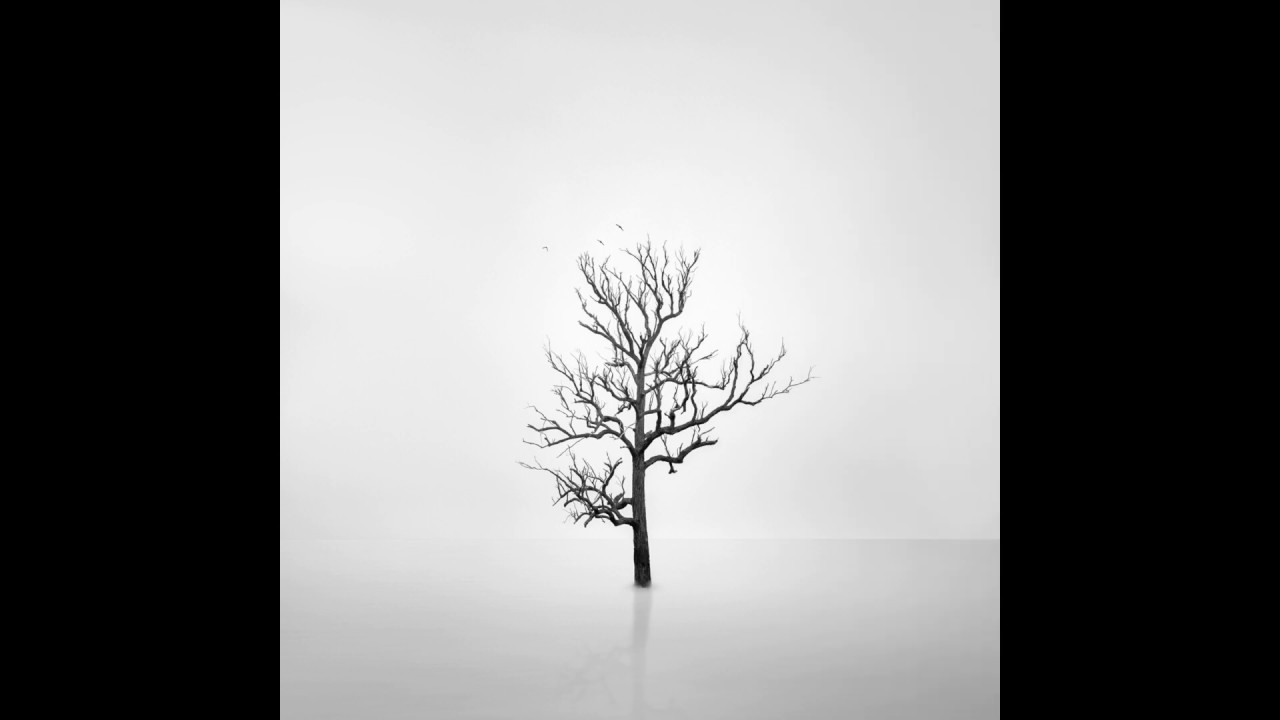 Black and White Fine Art Photography Photo Rewind 2019