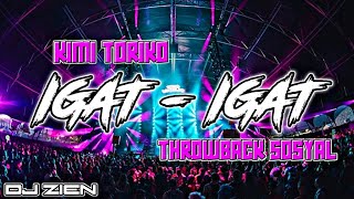 Download Lagu NONSTOP TIKTOK THROWBACK HITS SOSYAL IGAT - IGAT | DJ ZIEN  MP3
