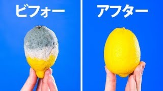 あなたの食料品を新鮮に保つ２０のライフハック