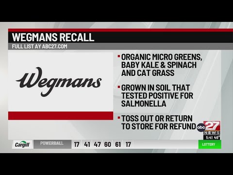 The Veggiema Leak: The Impact You Need To Know