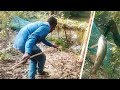 Primitive technology  catch big fish skill   natural fishing bd