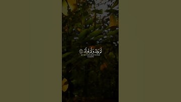 سورة الإخلاص رعد الكردي #القران #قرآن_كريم #تلاوة #رعد_الكردي #islam #quran #الله #سورة_الإخلاص