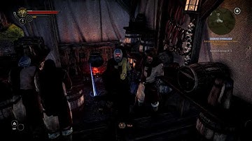 The Witcher 2 - Bug That Jails You Out