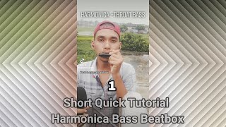 Quickharmonica B Beatbox With Other Sounds Tutorial