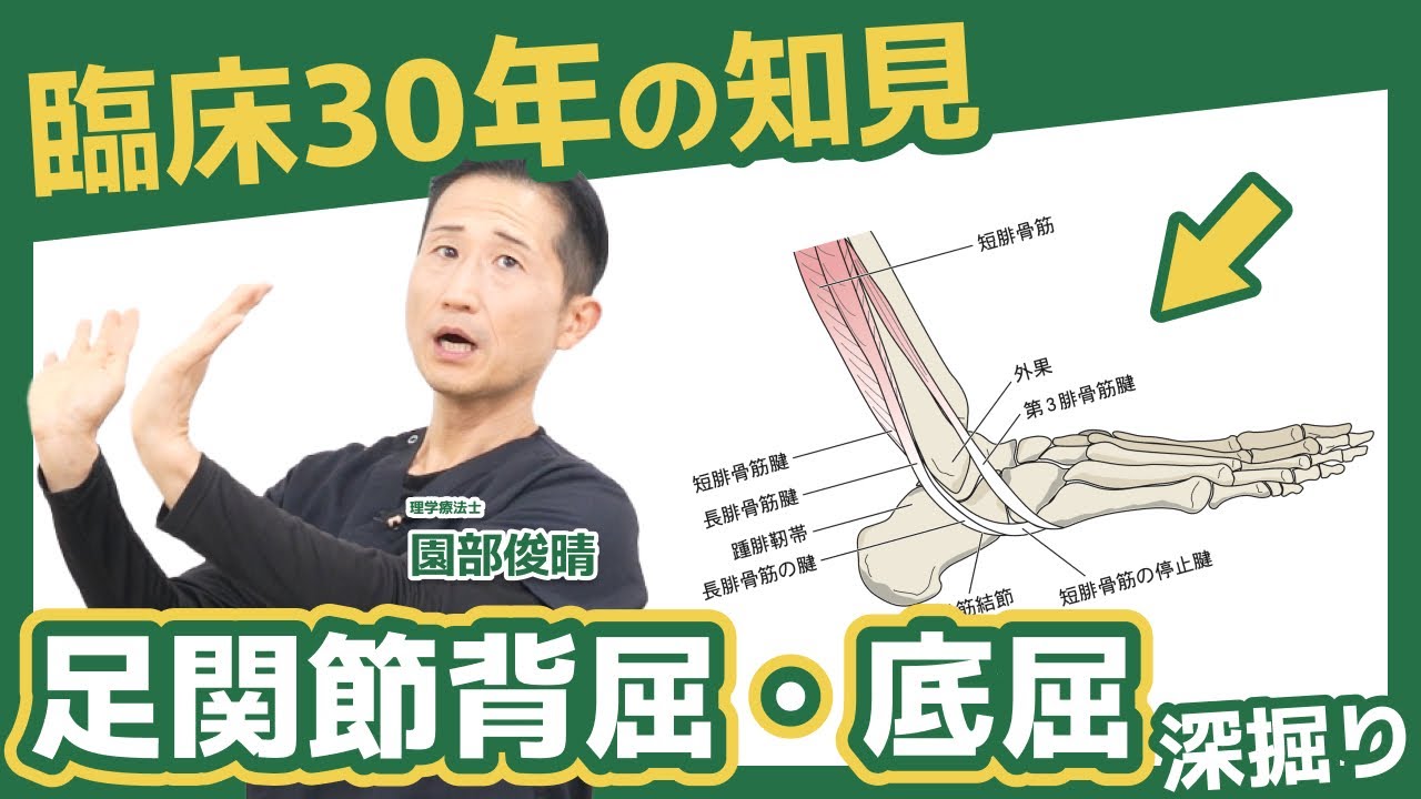 30 Years of Clinical Experience] Characteristics of Limited Range