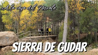 🪳🍀🍁 Sierra de Gudar en Furgoneta Camper 🚐. 4K