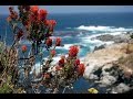 Peaceful music relaxing music instrumental music big sur by tim janis