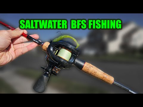 Saltwater BFS Fishing 