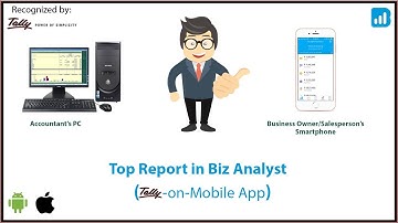Biz Analyst: Tally on Mobile App - Top Report