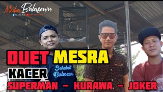 Duet Mesra || Kacer SUPERMAN - Kacer KURAWA - Kacer JOKER