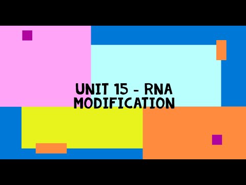 Video: Protein Vázající RNA HnRNPLL Indukuje Alternativní Sestřihový Program T Buněk, Který Je Definován Diferenciální Retencí Intronu V Polyadenylované RNA