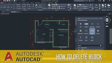 AutoCAD How To Delete Blocks