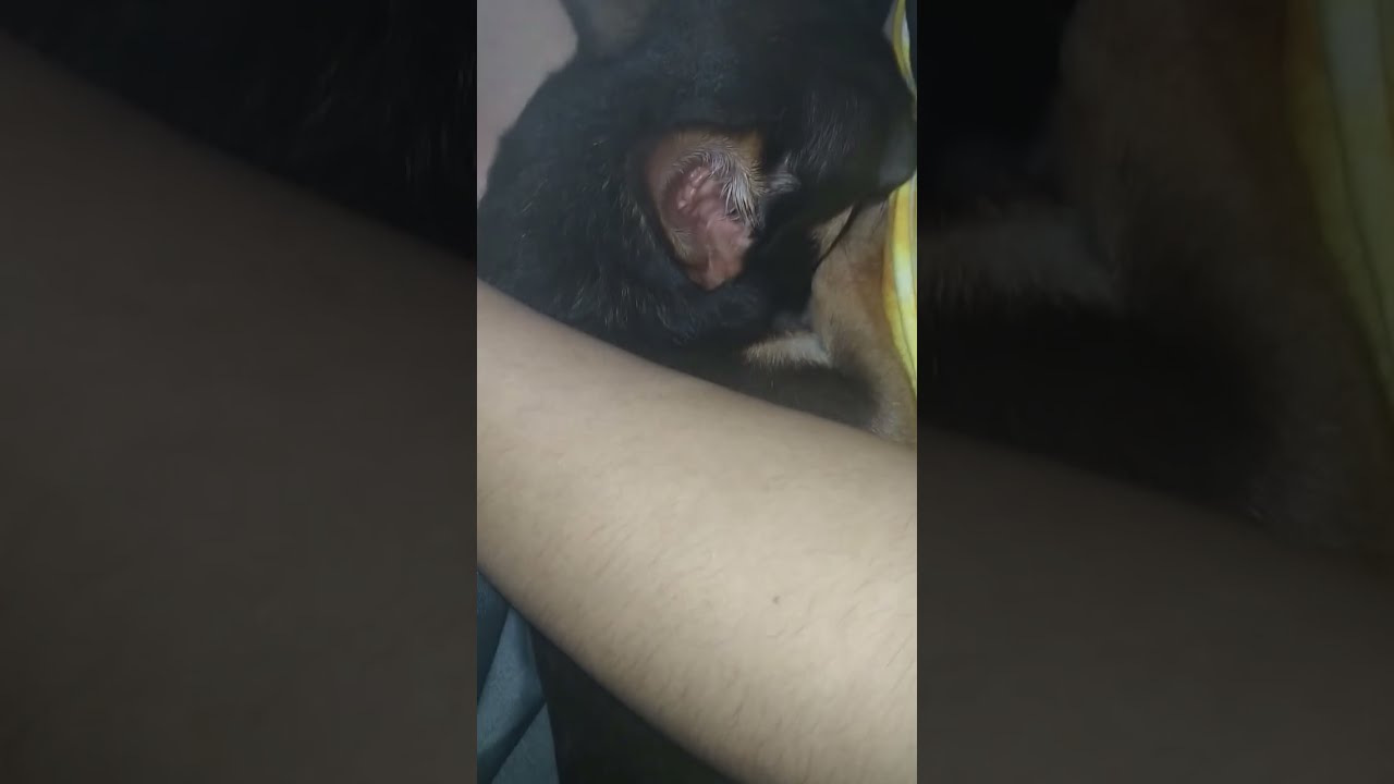 Ayaw ko dun, dito ko gusto 🫤