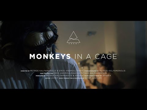 Ānemi - Monkeys in a Cage (Official Music Video)