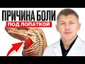 Спина болит из-за ЭТОГО! / 3 совета как убрать боль под лопаткой