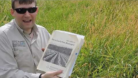 Hydric Soil Indicators for Wetland Delineation