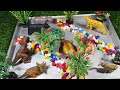 Satisfying Unboxing Animal Toys, Cow Elephant Gorilla Hippopotamus Tiger, #animals #unboxing #ASMR