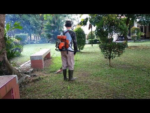 Video: Penjagaan Rumput: Memotong, Menyiram, Memberi Makan, Membersihkan, Meninggalkan Dalam Keadaan Sejuk