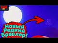 Новый Редкий Бравлер! Новости Лайна Бравл Старс