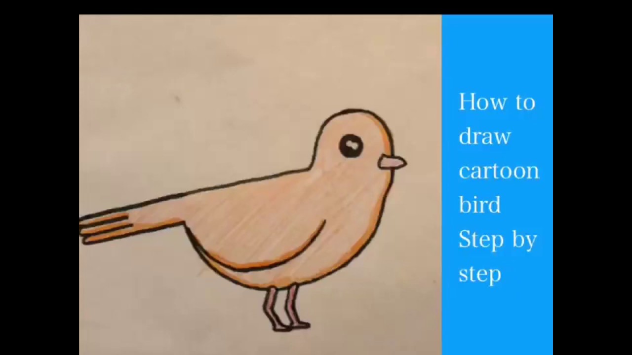 How To Draw Cartoon Bird (Easy step by step tutorial) - YouTube