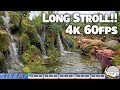 Long Relaxing Stroll at Disney's Animal Kingdom in 4K 60fps - No Narration - Walt Disney World