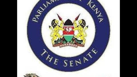 The Senate Plenary,  Wednesday 16th July 2025, Morning Session.