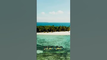 سورة محمد و؛.كا.نك تسمعها لأ،.و.ل مر.ة💕♥️؛،💟🌸💗💓؛💞بصوت الشيخ حمزة مد،بو.ح 💛،💮💙🌼،.🌹💐❣️