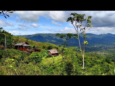 Video: Rumah Di Atas Bukit