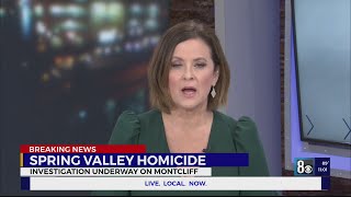 Spring Valley Homicide