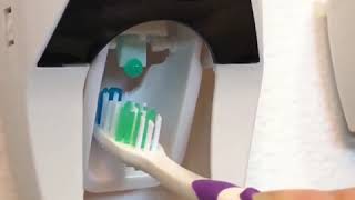 Distributeur de dentifrice et rangement brosse à dent