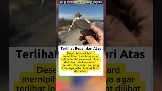 Trik Bertahan Hidup Kadal