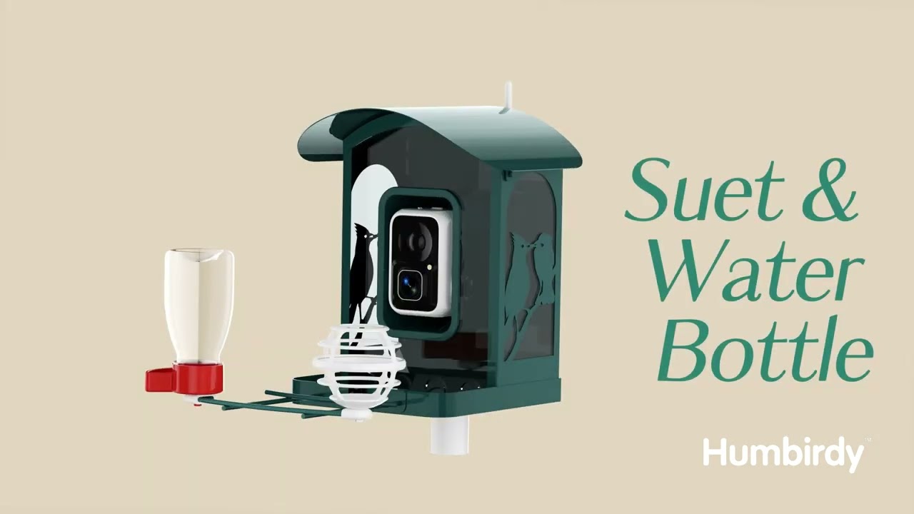 Upgrade your bird feeding experience with Humbirdy easy DIY bird feeder guide! 🐦
