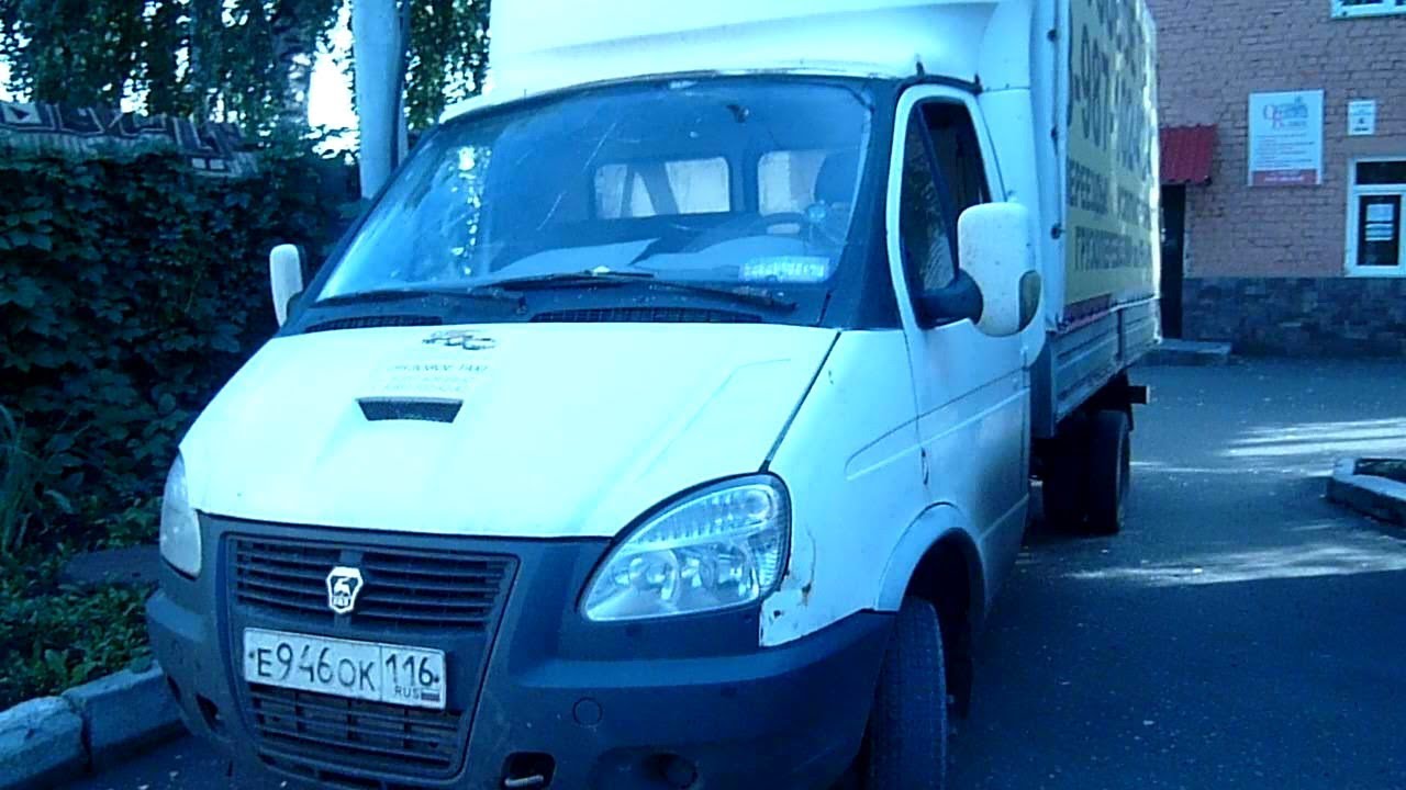 Шутки про газель