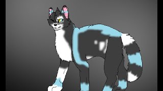 No Light, No Light ~MAP Part 13~