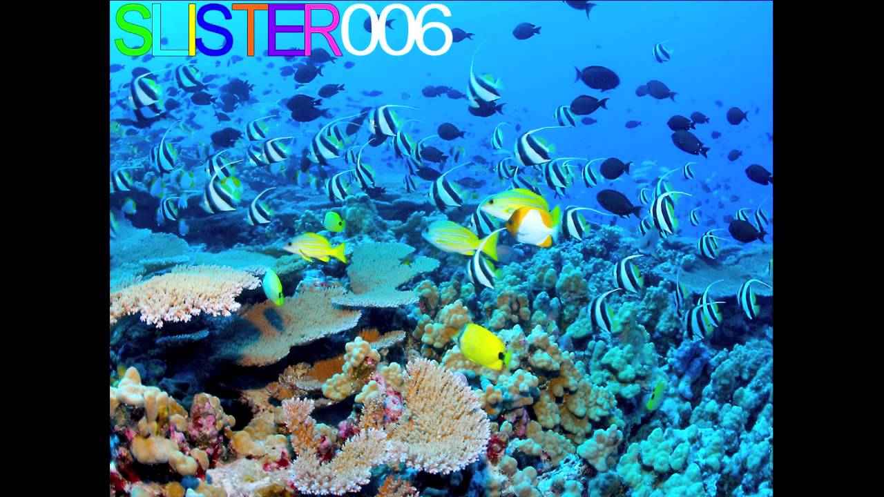 Coral Reef - Original Song Coral Reef - Original Song
