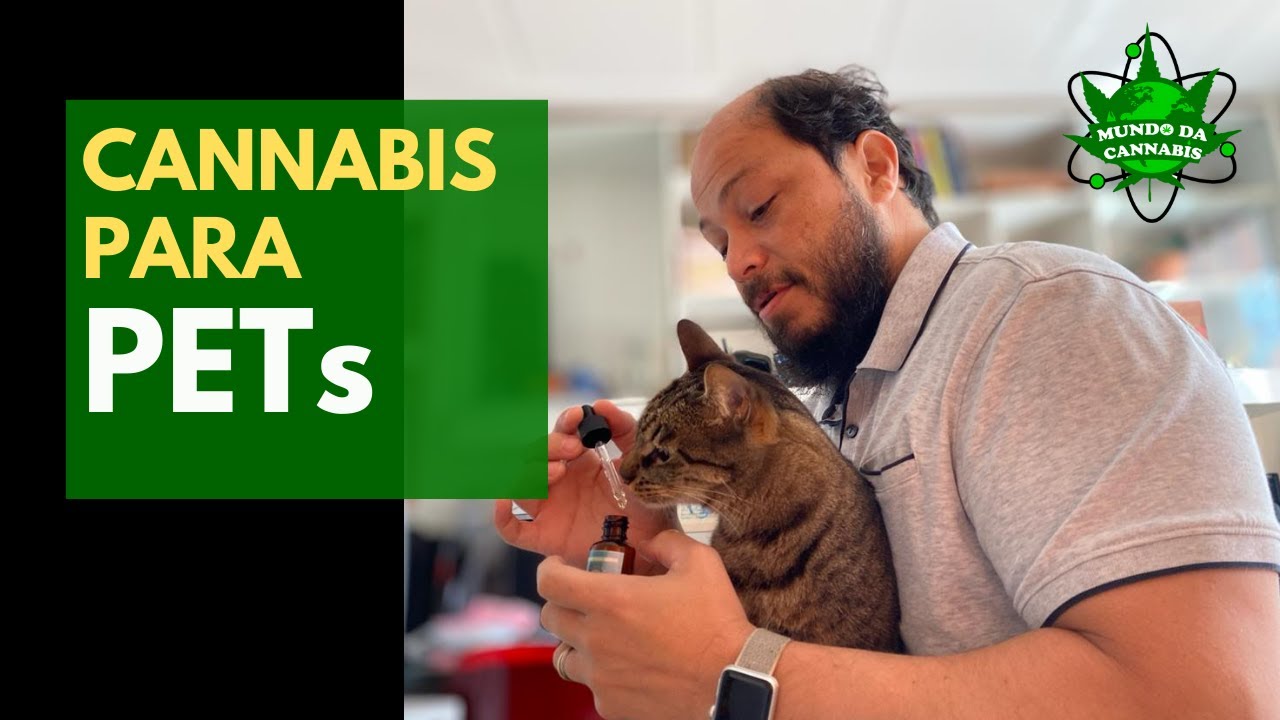 CANNABIS PARA PETS: O Tratamento Revolucionário Que Está Mudando a Vida Dos Seus Animais!