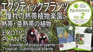 【JGNナーセリーズ2】エクゾティックプランツ～憧れの熱帯植物楽園～ 尾崎 忠さん EXOTIC PLANTS ～Paradise of tropical plants～ 熱帯・亜熱帯の植物