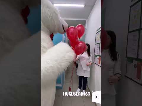 Мишка поздравляет врача 🥳 #белыймедведь #белыймишка #ростоваякукла #самара #деньрождения