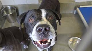acs A721188