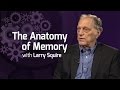 The Anatomy of Memory - On Our Mind